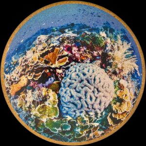 Fisheye Reef