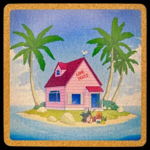 Kame House: Goku Baking While Baked