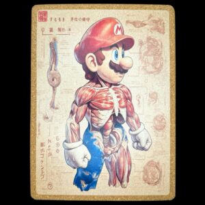 Mario Anatomy