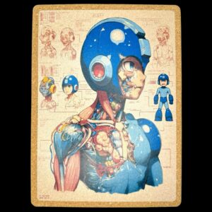Megaman Anatomy