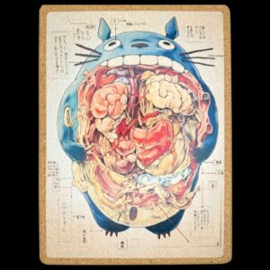 Totoro Anatomy